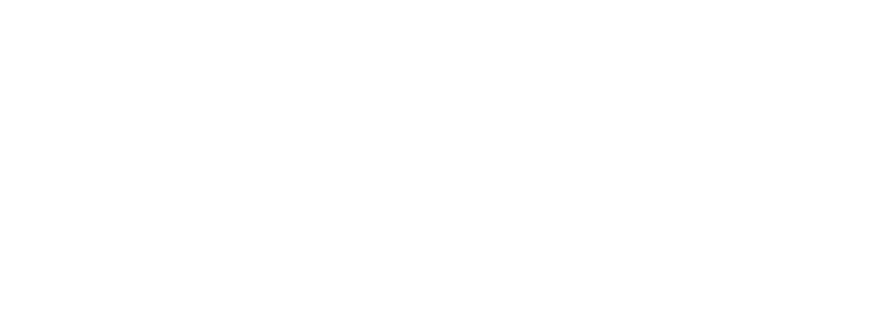 De Lage Landen vlak voor de Tachtigjarige Oorlog: de fenomenale nieuwe roman van Miquel Bulnes 