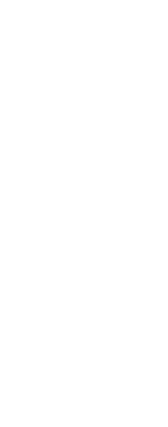 37 Wim Blockmans De wraak voor de Gulden Sporen 47 Antal van den Bosch Het geheim van de pratende machine 43 Lena Bri...
