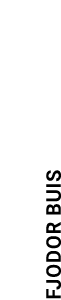 fjodor buis