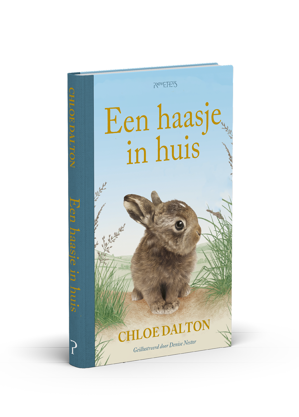 Een boek met een illustratie van een konijn in gras en de titel Een haasje in huis van Chloe Dalton op de voorkant. Beschrijving gegenereerd door AI