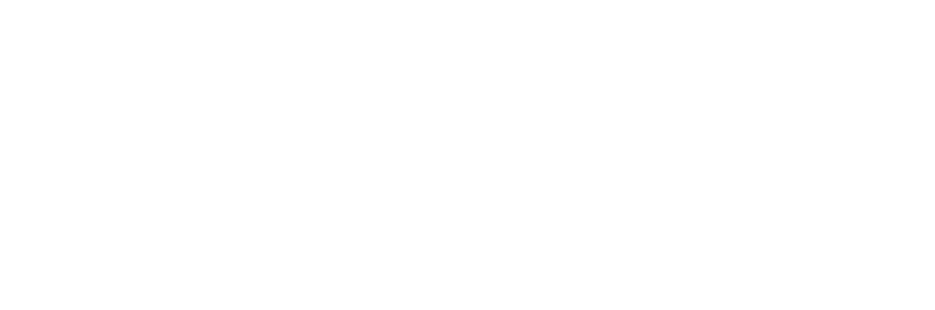 Speelse essays van de schrijver van het voor de Libris Literatuur Prijs genomineerde Hogere machten 
