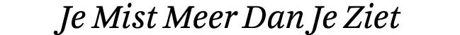 Je Mist Meer Dan Je Ziet 